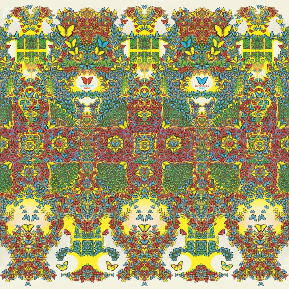 King Gizzard And The Lizard Wizard – Butterfly 3000 VINYL LP Red Colour Brand New Imported Ready Stock