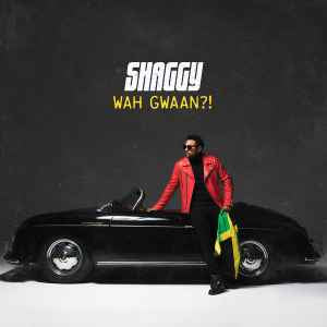 Shaggy – Wah Gwaan?!, 2LP, Brand New, green and yellow vinyl