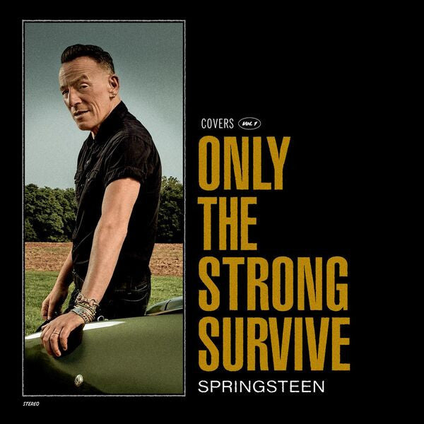 Bruce Springsteen – Only The Strong Survive, 2LP, Green Color Vinyl, Single Sided, Etched, Brand New