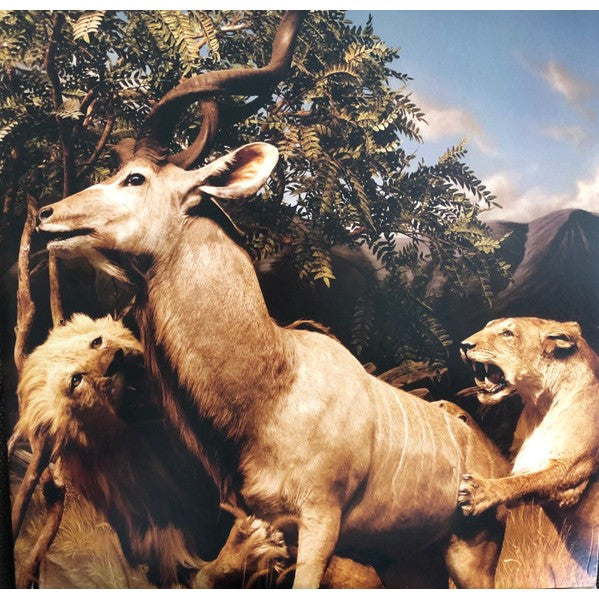 Interpol – Our Love To Admire, 2LP, Brand New