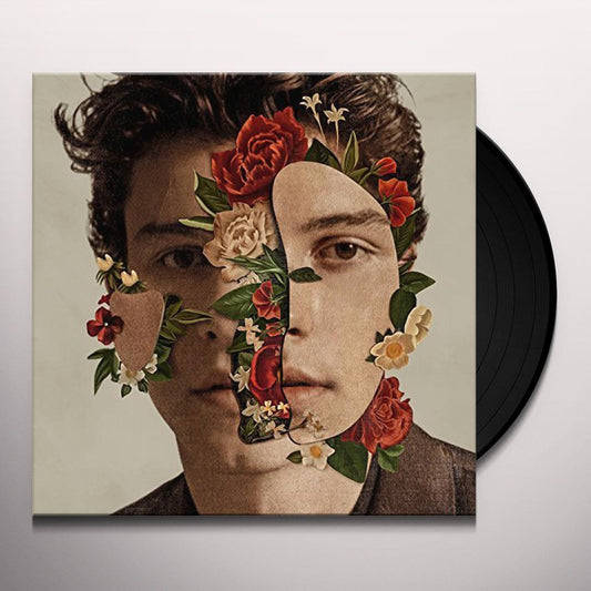 Shawn Mendes LP, Brand New