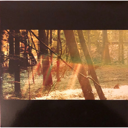 Childish Gambino – Camp, 180 Gram, Double Gatefold, 2LP, Brand New