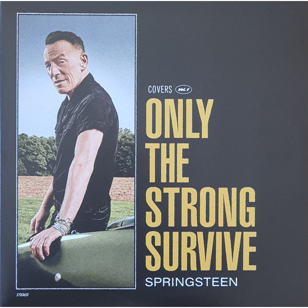 Bruce Springsteen – Only The Strong Survive, 2LP, Single Sided, Etched, Orange Color Vinyl, Brand New