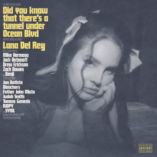 Lana Del Rey – Did You Know That There's A Tunnel Under Ocean Blvd, 2LP, Brand New