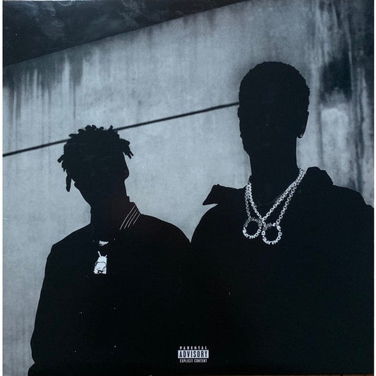 Big Sean & Metro Boomin – Double Or Nothing, LP, Brand