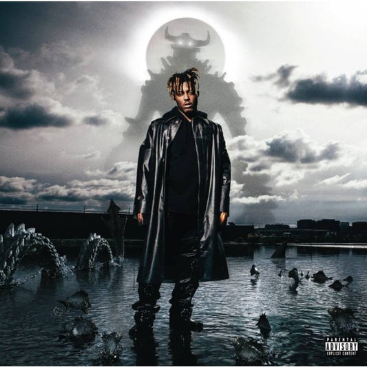 Juice WRLD – Fighting Demons, 2LP, Brand New