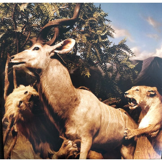 Interpol – Our Love To Admire, 2LP, Brand New