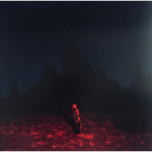 Phoebe Bridgers – Punisher, LP, Gatefold, Brand New